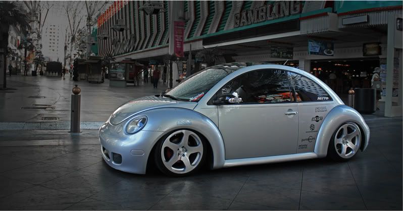 mynewbeetle.jpg