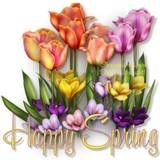 happy spring Pictures, Images and Photos
