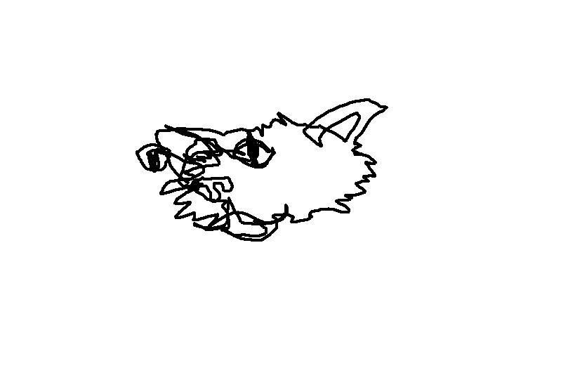 cat1.jpg