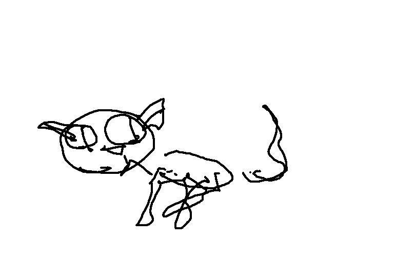 cat3.jpg