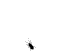bug.gif bug image by Danw54
