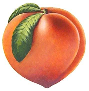 Georgia Peach Picture