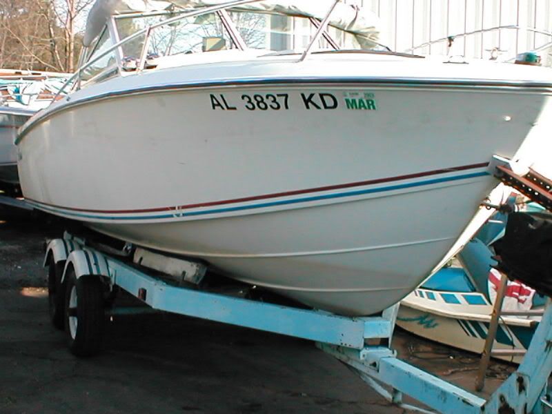 87386726_1.jpg
