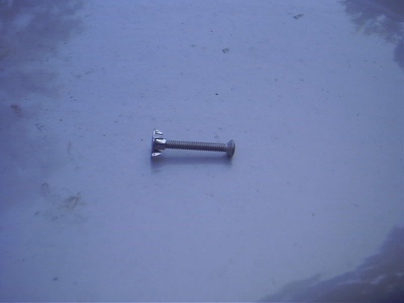 POL_0332.jpg