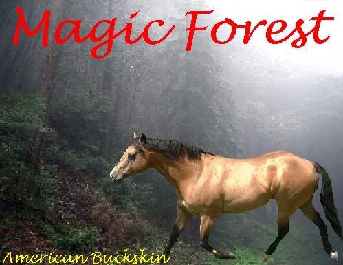 Magicforest.jpg