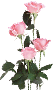 glitter pink roses Pictures, Images and Photos