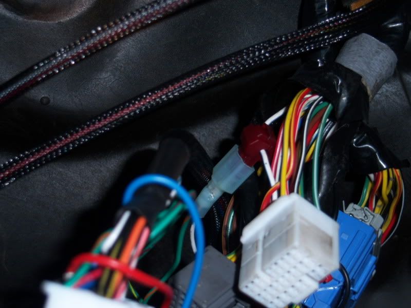 New Swap Installed and Injectors Aren't Firing Page 2 Honda / Acura