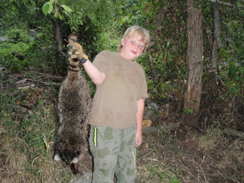 Coon Thief Prevention Archive Texasbowhunter Com Community