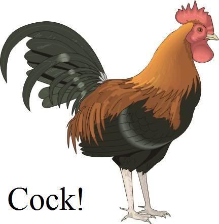 cock3.jpg