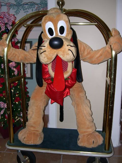 Img1319.jpg