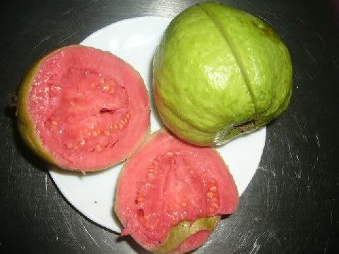 guayaba Pictures, Images and Photos