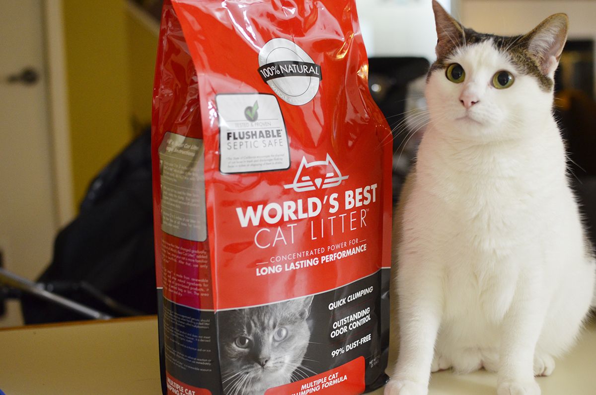 #WasteLessLitter: World's Best Cat Litter