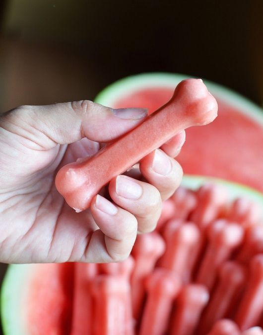 DIY Frozen Watermelon Dog Treats 