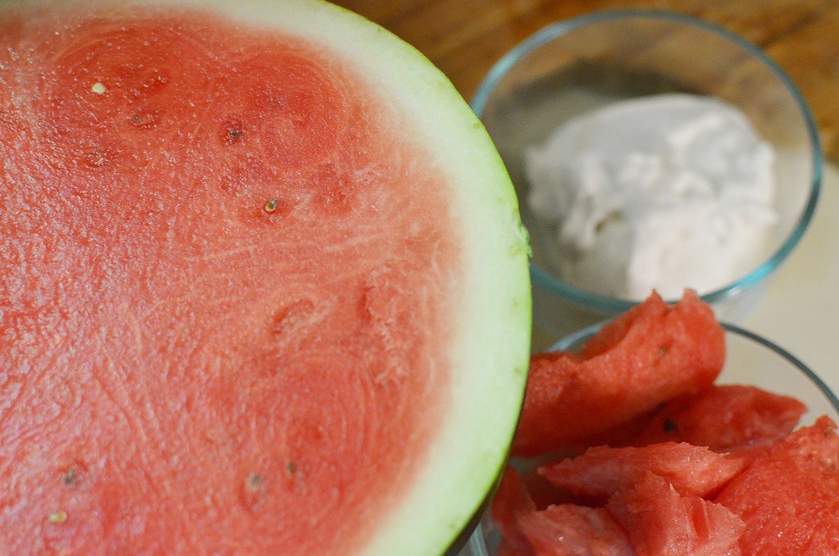 DIY Frozen Watermelon Dog Treats