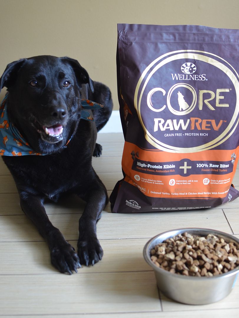 Show your dog you love them by keeping them healthy inside and out with Wellness® CORE® RawRev™