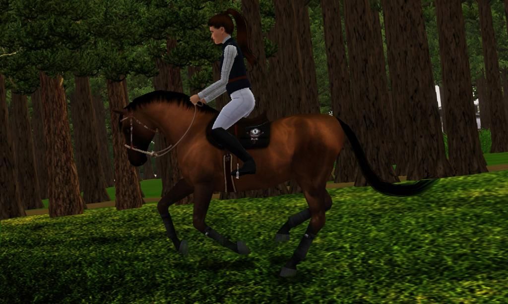 Serenity Meadow Ranch *Update 11-11-2015* Pasture Fun! 21_zpsd4c48a88
