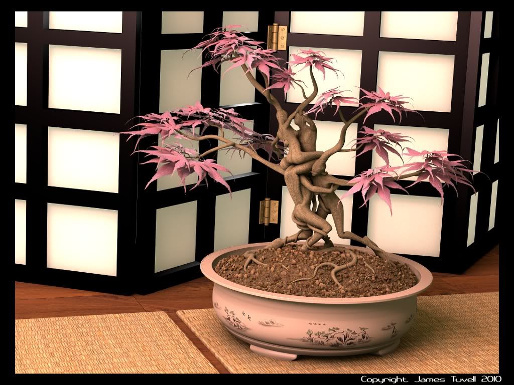 Bonsai032ssm.jpg