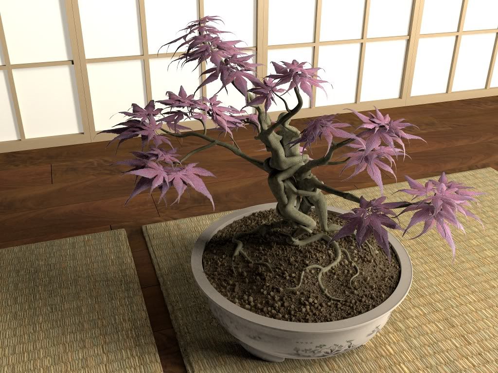 Bonsai034ssm.jpg