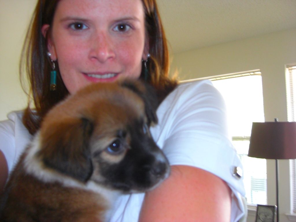 0a0a0eb8-6b9a-4be7-be39-ec08a9f60e49_zps