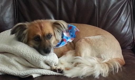 3f7a2959-e3ef-47a4-8dc7-dede4f3279de_zps