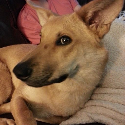 70708065-5cca-4187-aef1-472345d9c446_zps