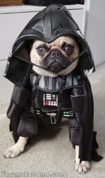 Funny_Pictures_Star-Wars_Vaders_Dog.jpg