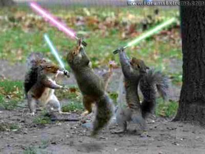 fSW_JediSquirrels.jpg