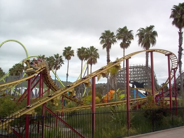 Six Flags Discovery Kingdom Cobra