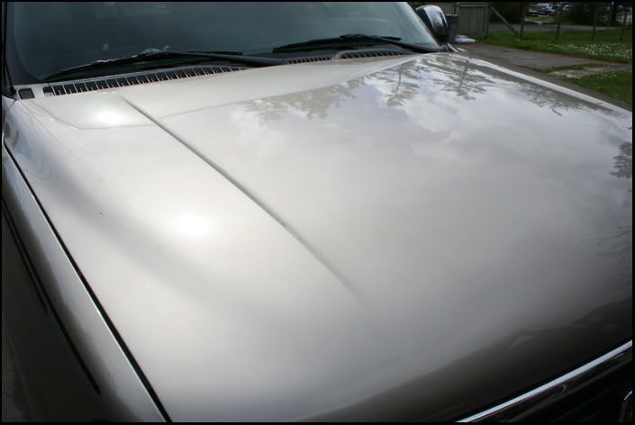 8c534584.jpg