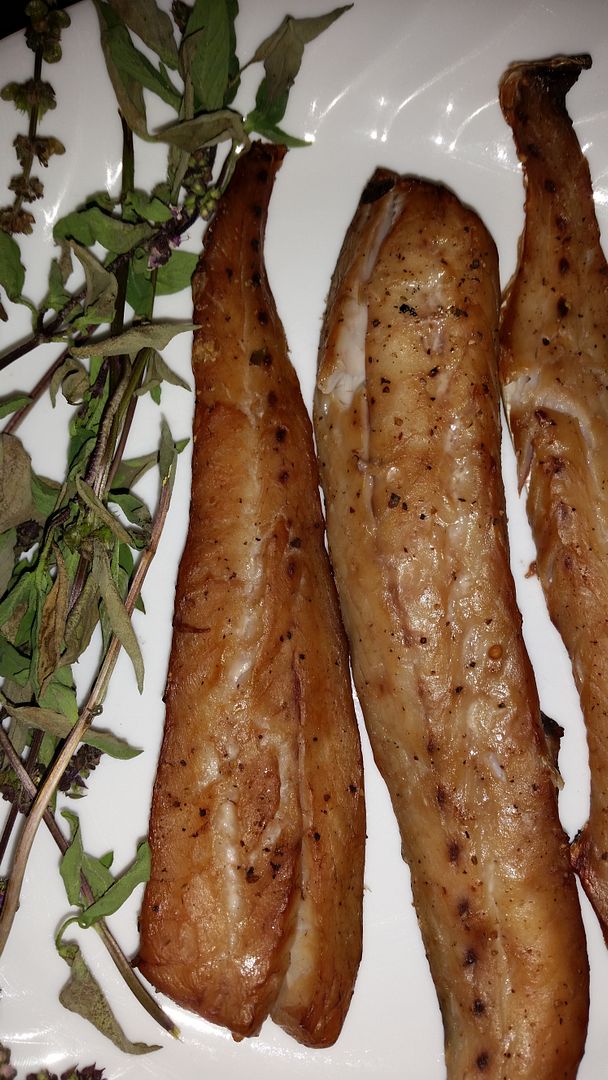 How to Smoke fish WIthout a smoker 360 Tuna Fishers Forum