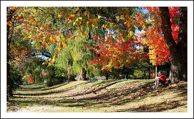 IMAGE: http://i40.photobucket.com/albums/e217/23445/Fall%202007/IMG_9406.jpg