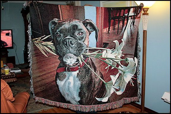 IMAGE: http://i40.photobucket.com/albums/e217/23445/IMG_1433-1.jpg