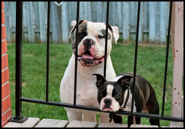 IMAGE: http://i40.photobucket.com/albums/e217/23445/IMG_2515-1.jpg