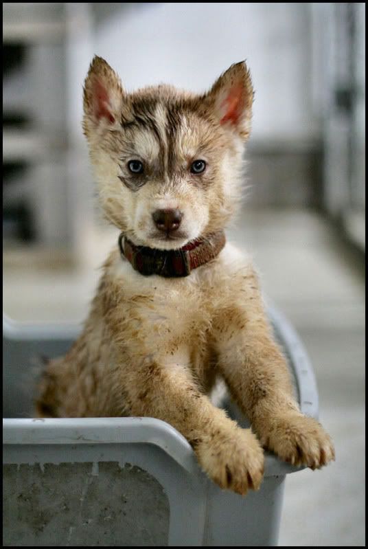 IMAGE: http://i40.photobucket.com/albums/e217/23445/IMG_4203.jpg