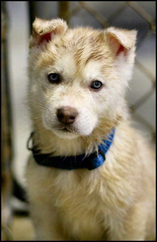 IMAGE: http://i40.photobucket.com/albums/e217/23445/IMG_4225.jpg