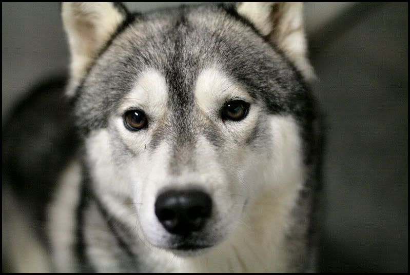 IMAGE: http://i40.photobucket.com/albums/e217/23445/IMG_4269.jpg