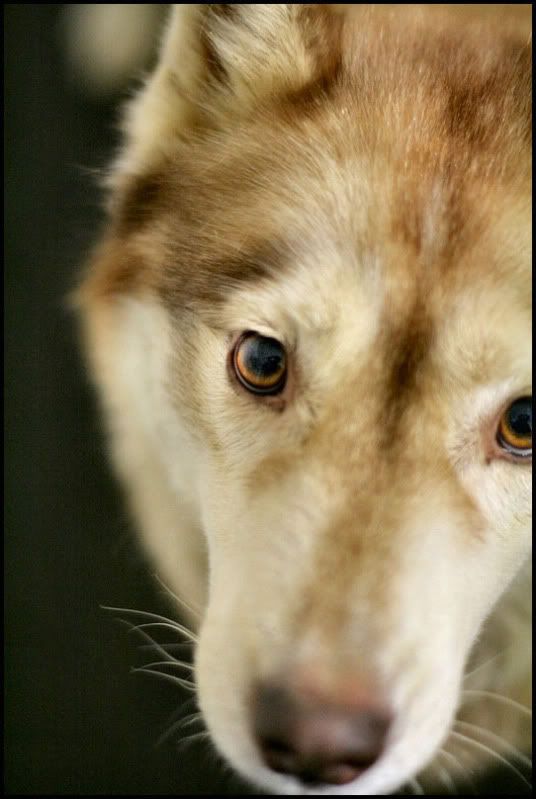 IMAGE: http://i40.photobucket.com/albums/e217/23445/IMG_4277.jpg