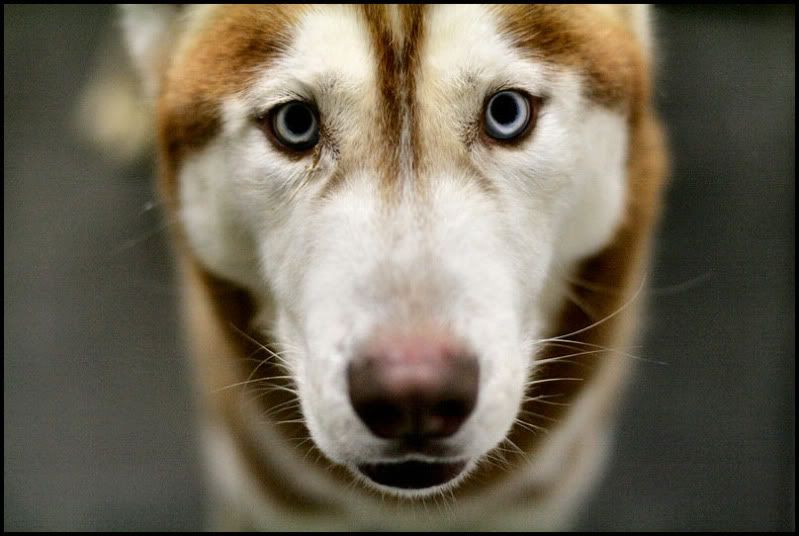 IMAGE: http://i40.photobucket.com/albums/e217/23445/IMG_4281.jpg