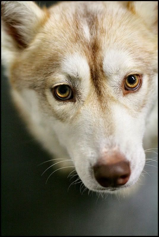 IMAGE: http://i40.photobucket.com/albums/e217/23445/IMG_4292.jpg