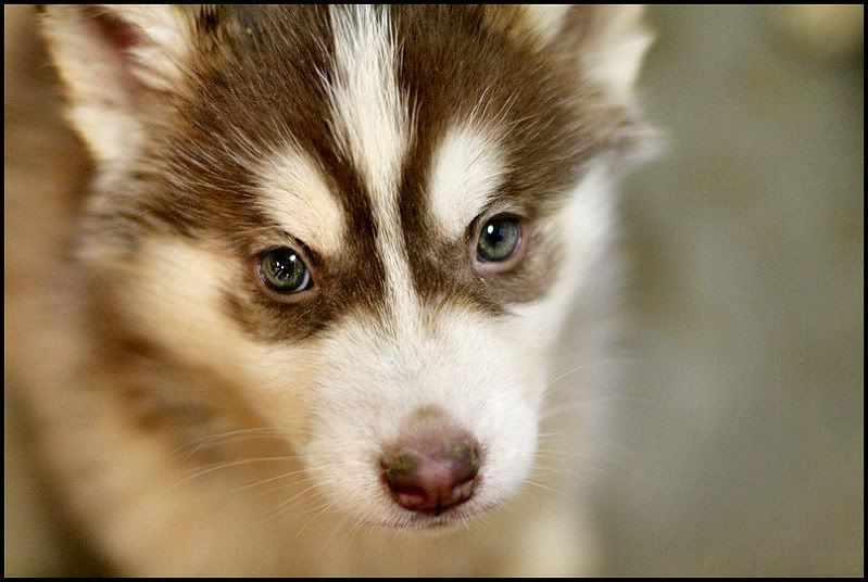 IMAGE: http://i40.photobucket.com/albums/e217/23445/IMG_4313.jpg