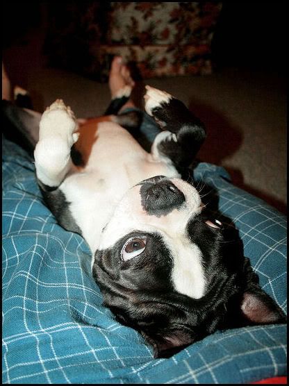 IMAGE: http://i40.photobucket.com/albums/e217/23445/IMG_5814.jpg