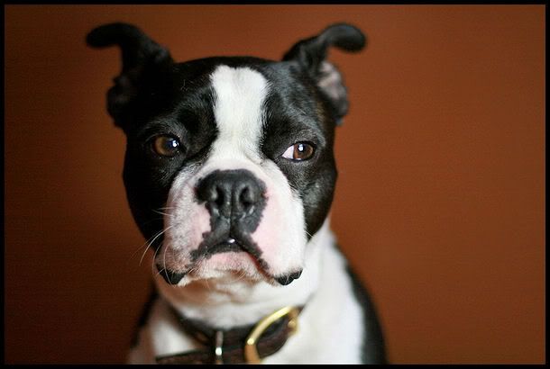 IMAGE: http://i40.photobucket.com/albums/e217/23445/IMG_9393.jpg