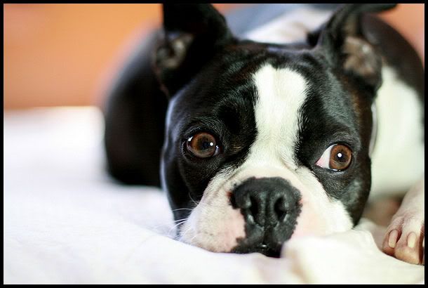 IMAGE: http://i40.photobucket.com/albums/e217/23445/IMG_9425.jpg