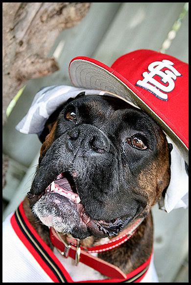 IMAGE: http://i40.photobucket.com/albums/e217/23445/just%20randoms/IMG_4766.jpg