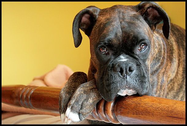 IMAGE: http://i40.photobucket.com/albums/e217/23445/just%20randoms/IMG_5498.jpg