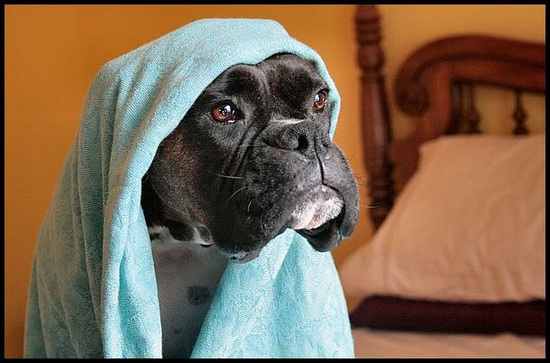 IMAGE: http://i40.photobucket.com/albums/e217/23445/just%20randoms/IMG_5500.jpg