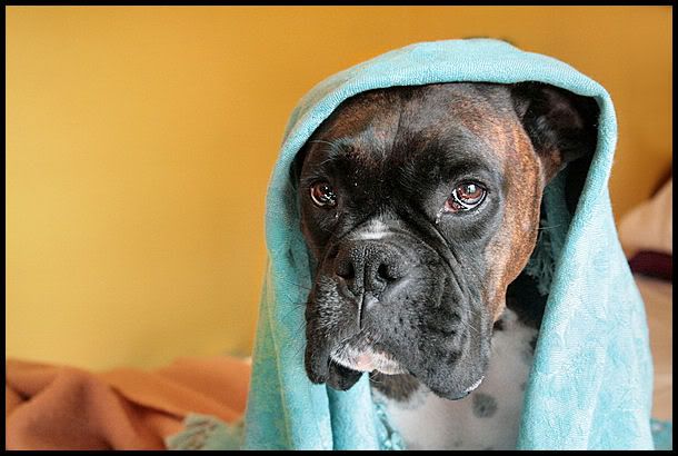 IMAGE: http://i40.photobucket.com/albums/e217/23445/just%20randoms/IMG_5506.jpg