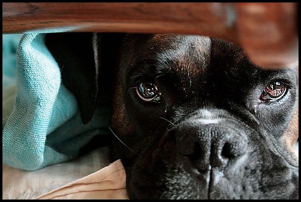 IMAGE: http://i40.photobucket.com/albums/e217/23445/just%20randoms/IMG_5511.jpg