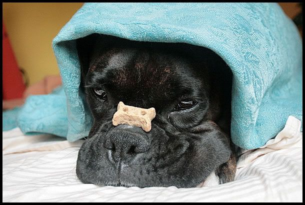 IMAGE: http://i40.photobucket.com/albums/e217/23445/just%20randoms/IMG_5548.jpg