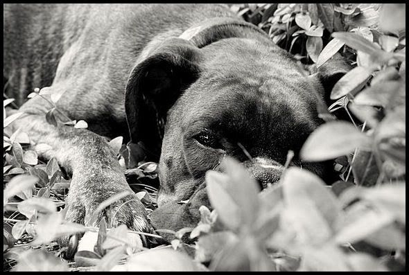 IMAGE: http://i40.photobucket.com/albums/e217/23445/paintshop/IMG_6742.jpg